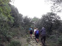 2018-11-12 14.01.39 (Grand)